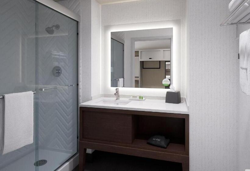 スタンダードルーム, Holiday Inn Navojoa, An Ihg