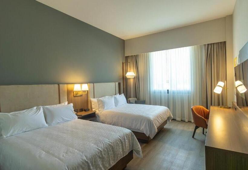 スイート, Holiday Inn Navojoa, An Ihg