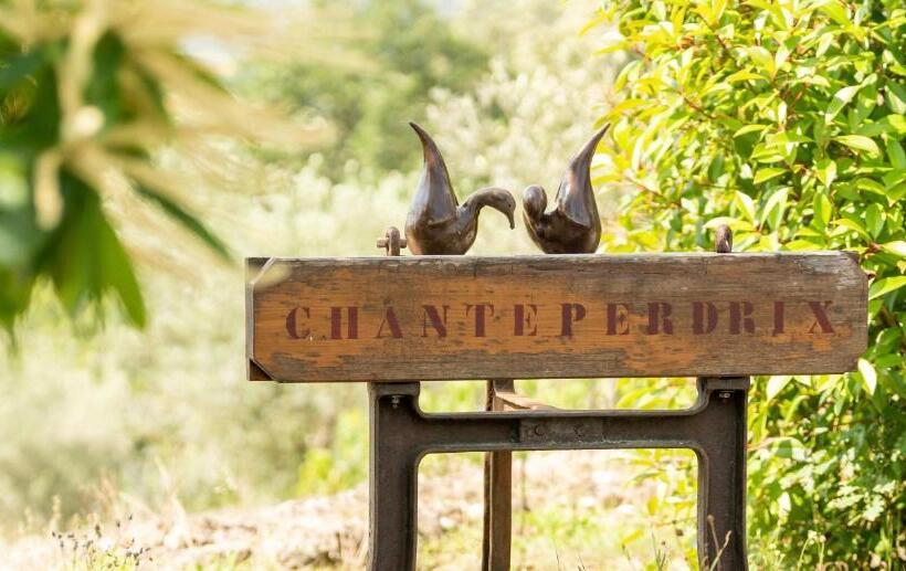 Номер Стандарт, Domaine De Chanteperdrix