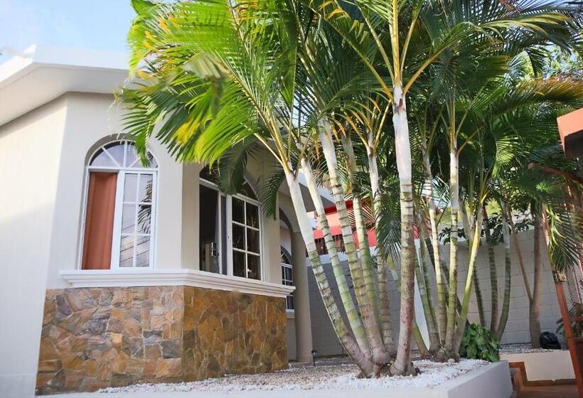 اتاق استاندارد, Cozy Renting Hospedaje