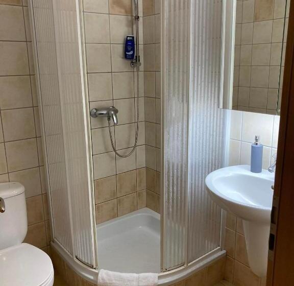 Апартаменты 1 Спальня, D&d Wellness Apatmanok   Dani Wellness Apartman