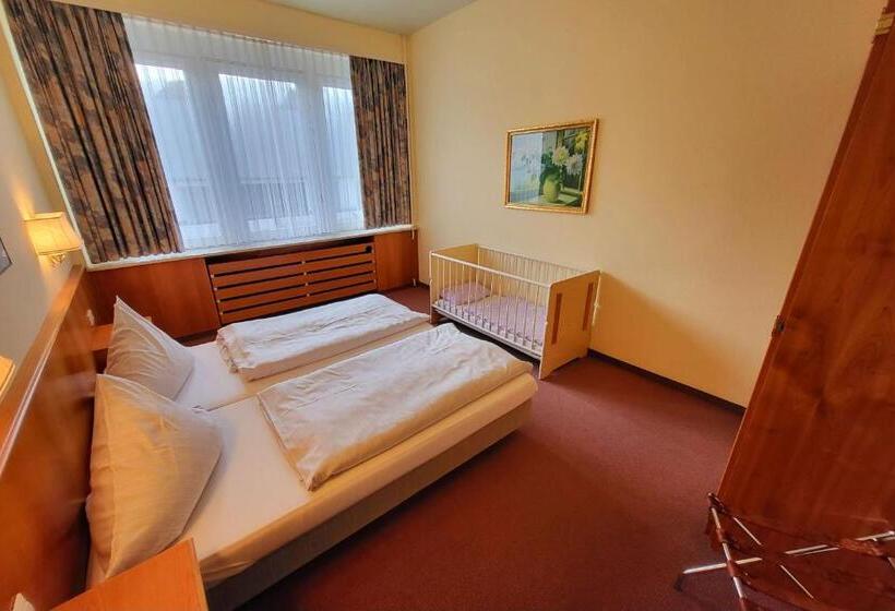 Люкс, Harz Hotel Vogelberg