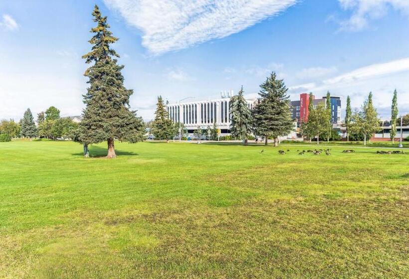 Студия Стандарт, Highliner Hotel  King Suite 110 Hotel Room