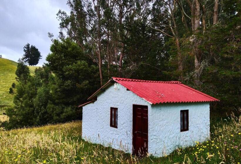 Номер Стандарт, Casa Enverdes