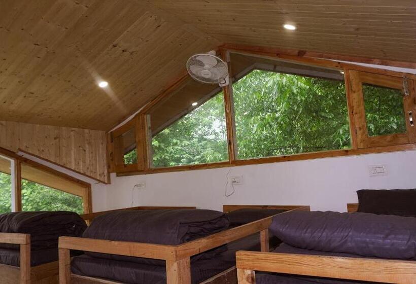 공동 객실, Odin Hostel Kasol