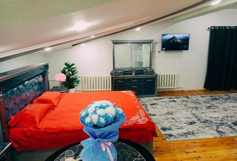 اتاق استاندارد یک نفره, Ray Hostel Premium