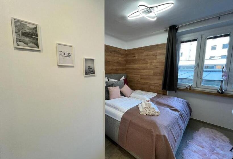 اتاق استاندارد با تخت بزرگ, Modern Hotel Krems Hauptbahnhof