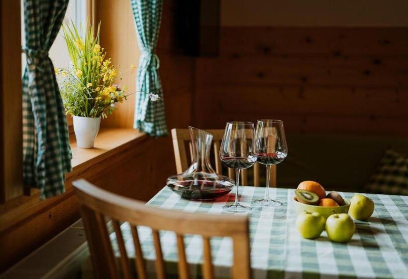 اتاق لوکس, Apartmány Velké Karlovice