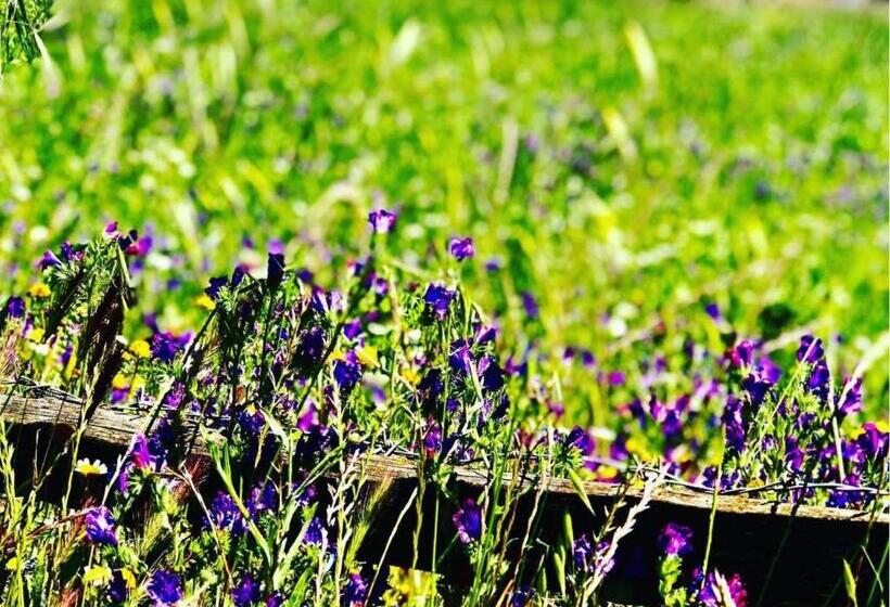 스탠다드 룸, Agriturismo Sa Mandra