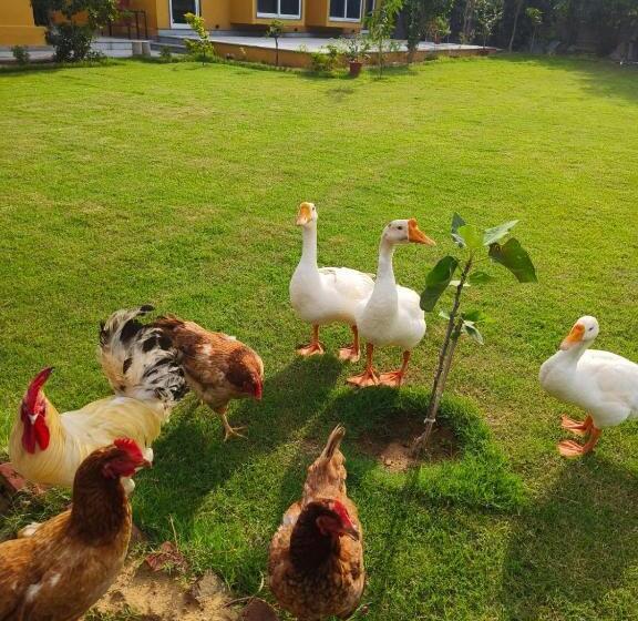 家庭房带园景, Girisadan Organic Farm Retreat & Botanical Forest