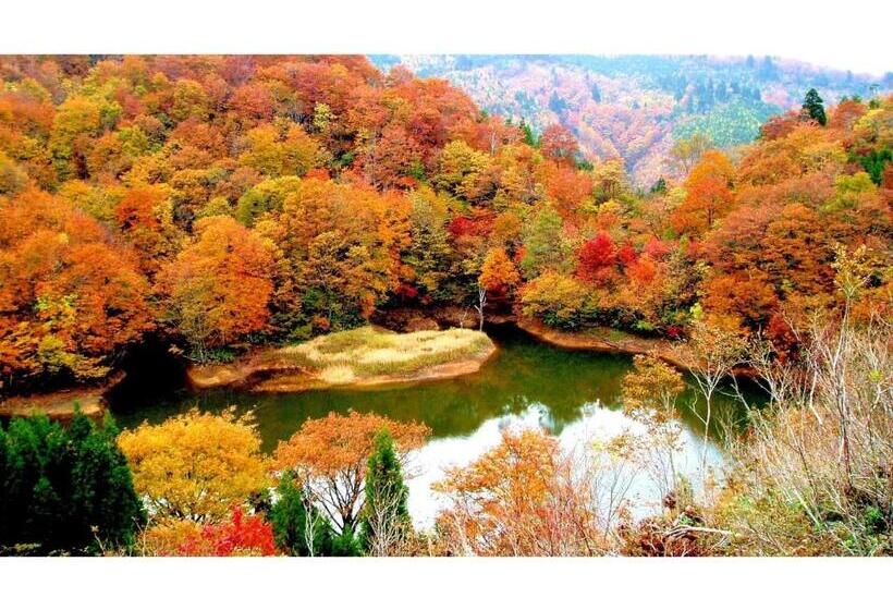 스탠다드 스튜디오, Asanoya   Vacation Stay 01714v