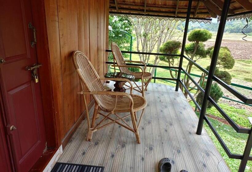 豪华房间, Mystery Maze Resort And Spa