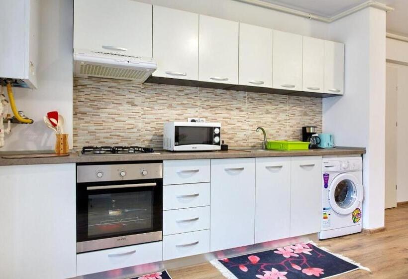 Апартаменты 1 Спальня с Балконом, Apartament Mystic Promenada
