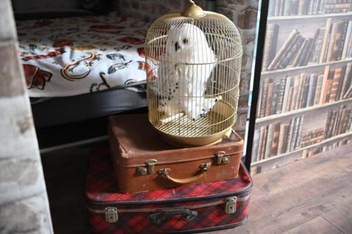 Семейный Номер, Le Terrier, Chambre D Hôte à Thème Le Sorcier à Lunettes