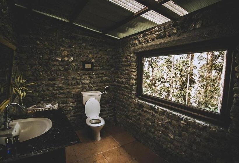 Номер Стандарт Вид на Бассейн, Petrichor   Regenerative Living Experience