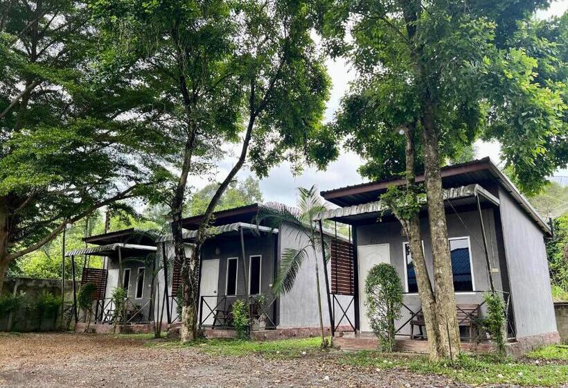 Номер Стандарт, ณดลรีสอร์ท