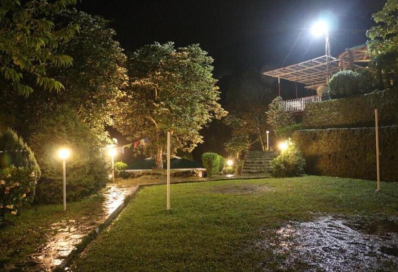 小室, The Nettle And Fern Farmstay