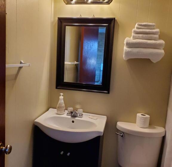 豪华房间, Town And Country Motel