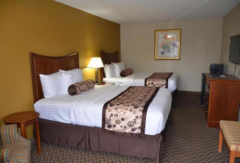 Номер Deluxe, Regency Inn