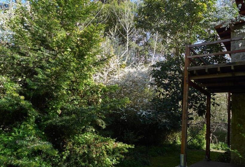 Номер Стандарт, Posada Cobodemar