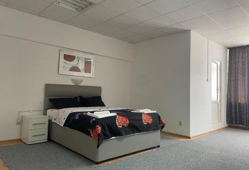 استودیوی استاندارد, Complex Garsoniere. Studio Rentals