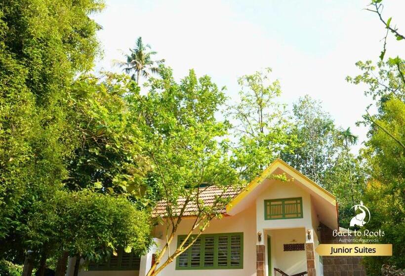 Полулюкс, Back To Roots Ayurveda Retreat