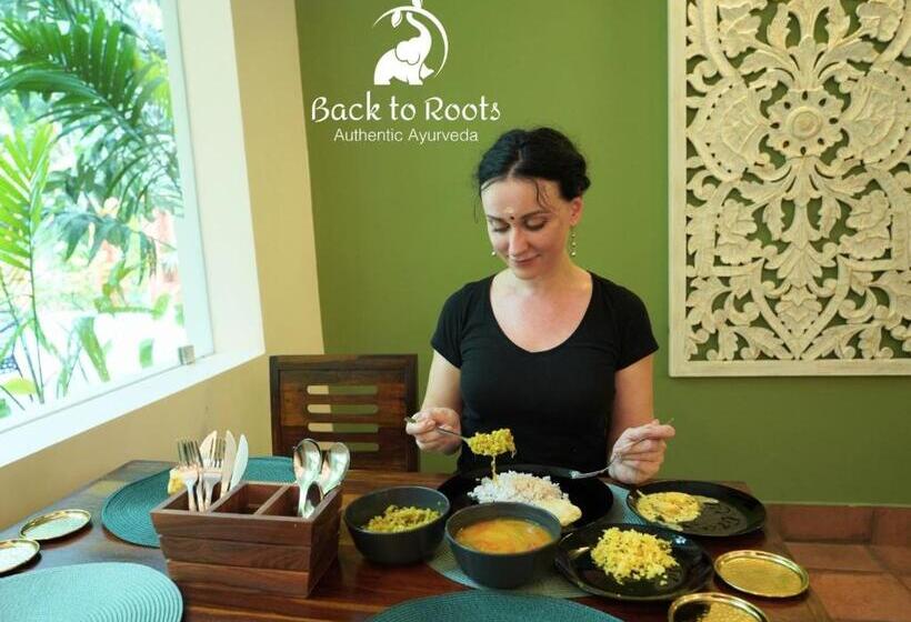 Полулюкс, Back To Roots Ayurveda Retreat