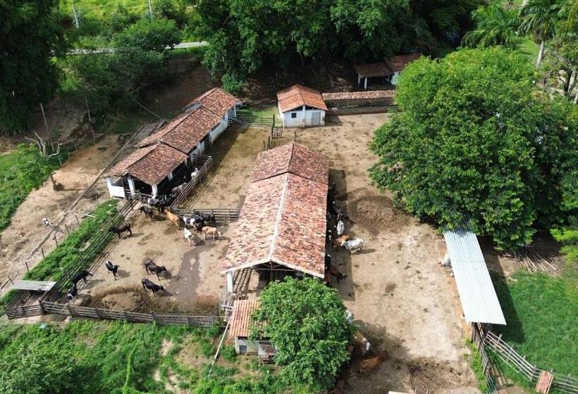 스탠다드 트리플 룸, Fazenda Dos Coqueiros Bananal Sp