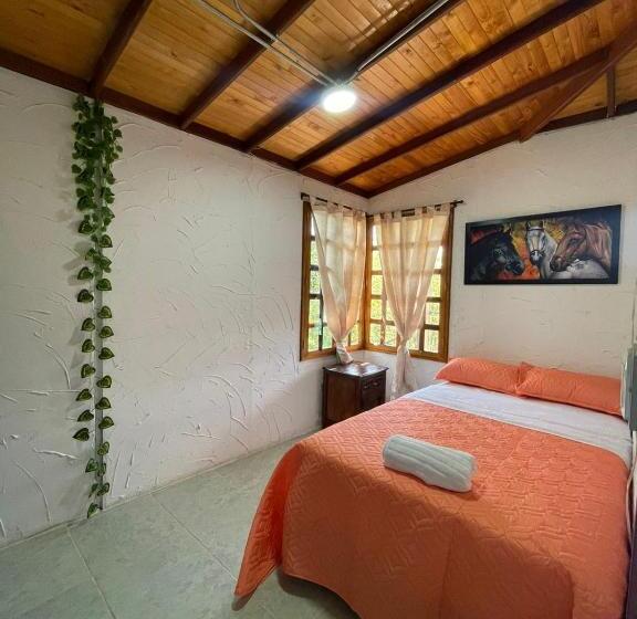 스탠다드 룸, Xplora Hostel