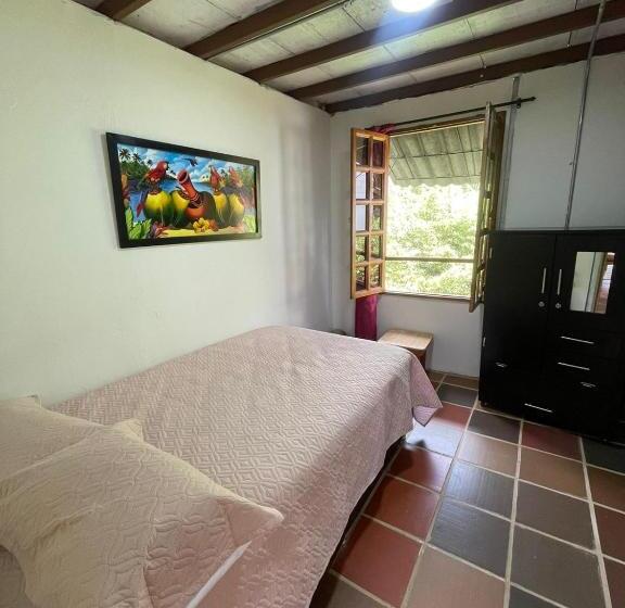 스탠다드 싱글 룸, Xplora Hostel