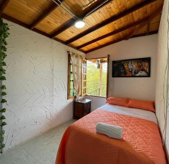 스탠다드 싱글 룸, Xplora Hostel