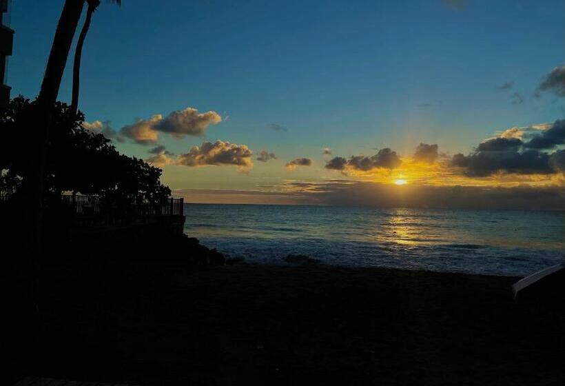 استودیوی استاندارد, 1 Corcega Beachfront Suites