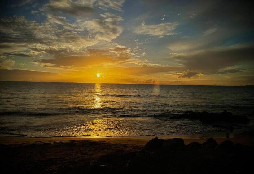 استودیوی لوکس, 1 Corcega Beachfront Suites
