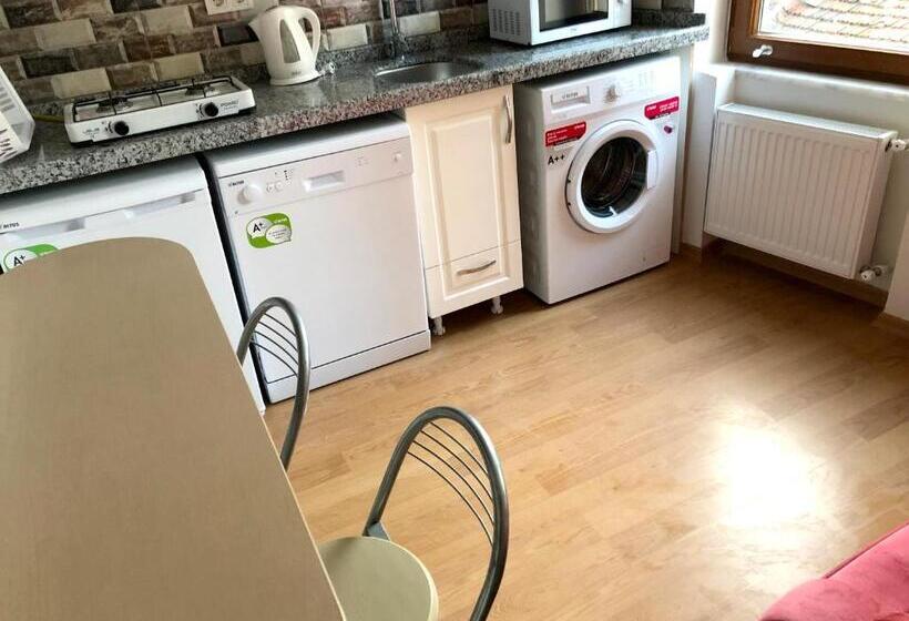Апартаменты Superior 1 Спальня, Istanberry   Dream Apartments