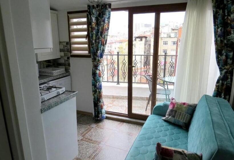 Апартаменты 1 Спальня с Террасой, Istanberry   Dream Apartments