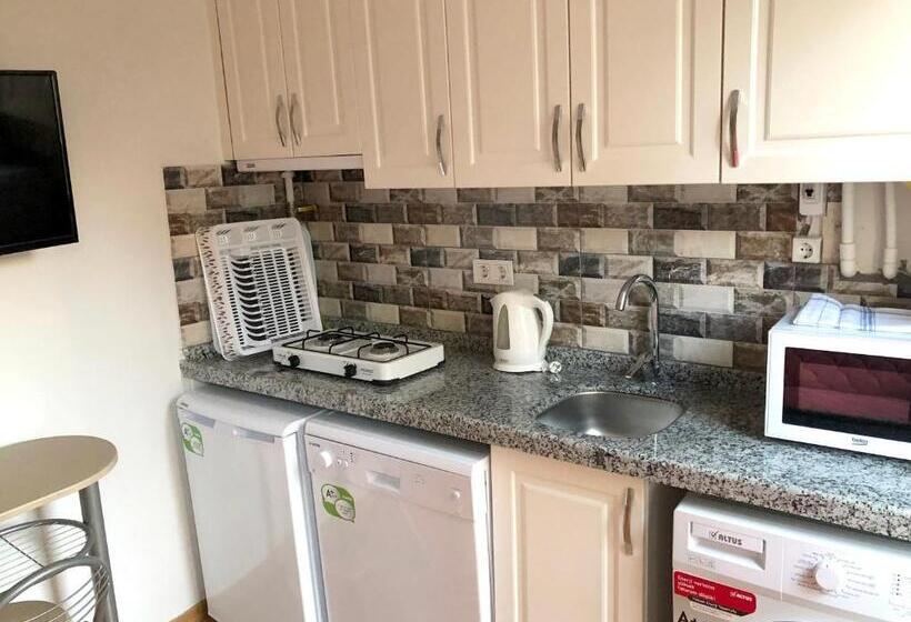 Апартаменты Superior 1 Спальня, Istanberry   Dream Apartments