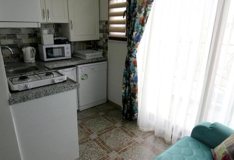 Апартаменты 1 Спальня с Террасой, Istanberry   Dream Apartments