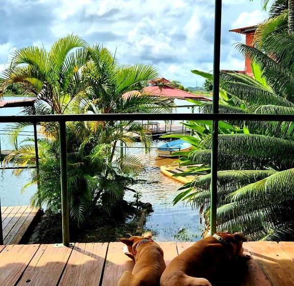 Четырехместный Номер Стандарт, Cabana S On Gatun Lake In Arenosa