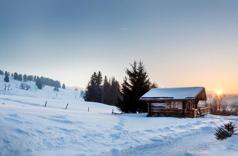 Шале 1 Спальня, Hôtel Le Manoir Des Montagnes