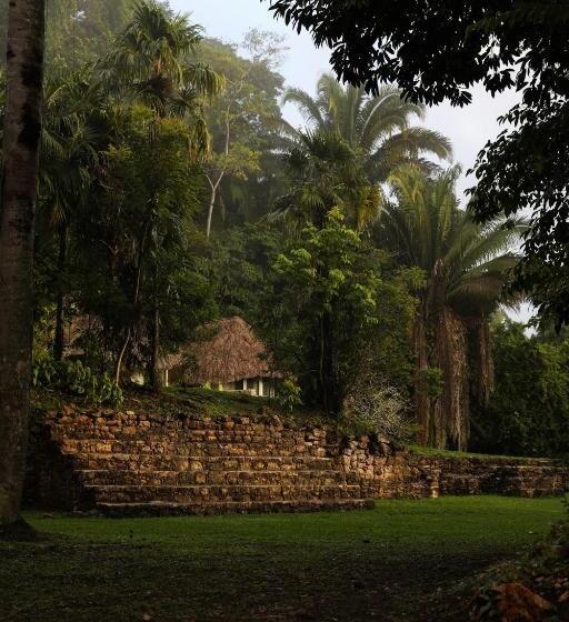 اتاق استاندارد با چشم‌انداز باغ, Jade Jungle Resort