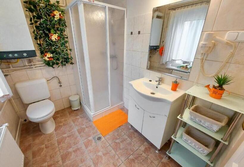 1间卧室的房子, Bor Villa Vendégház