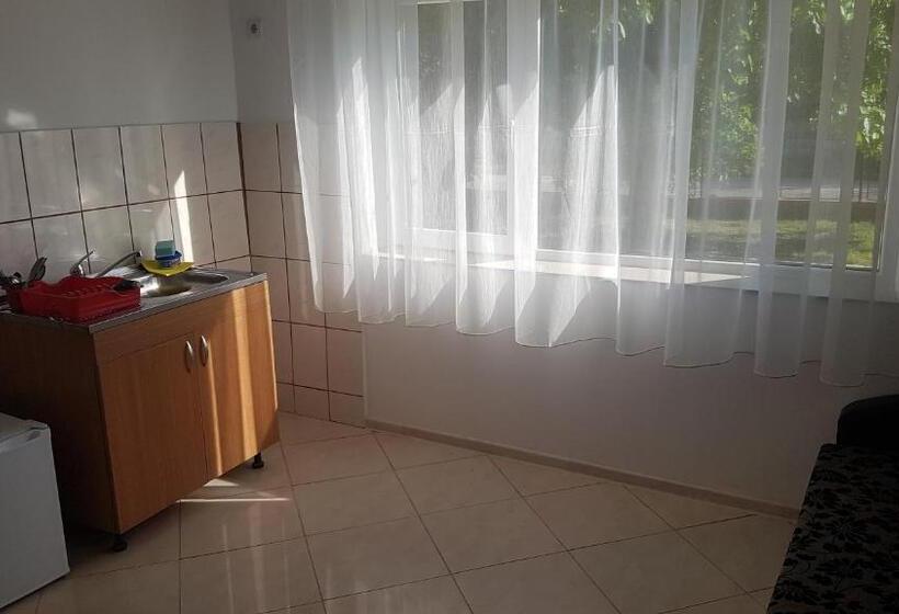 آپارتمان پریمیوم 1 خوابه, Casa Rustica Apart & Rooms