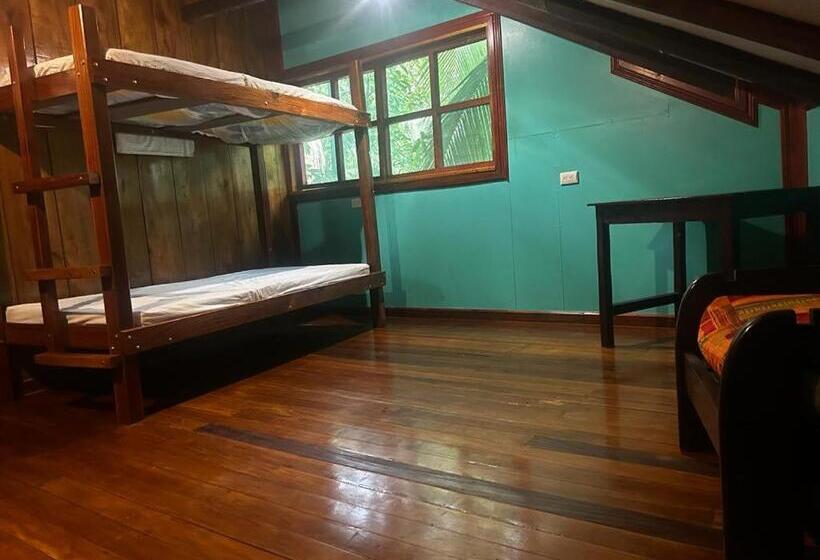 스탠다드 트리플 룸, The Monkey Trail Hostel
