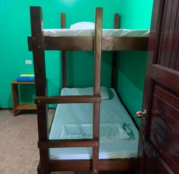 스탠다드 룸, The Monkey Trail Hostel