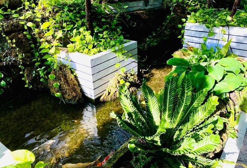 Номер Deluxe, D Eco Wellness Luxury