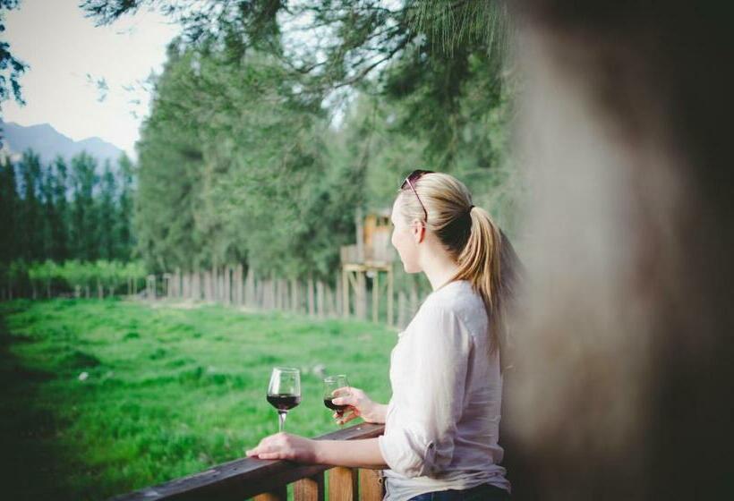 Дом 1 Спальня, Vindoux Tree House Guest Farm & Spa