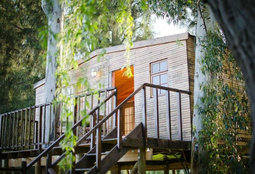 Дом 1 Спальня, Vindoux Tree House Guest Farm & Spa