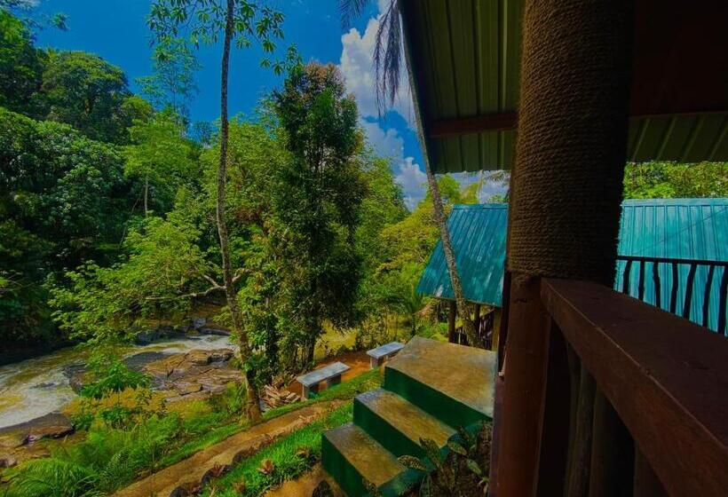 Семейный Номер Superior, The Rainforest Hideaway