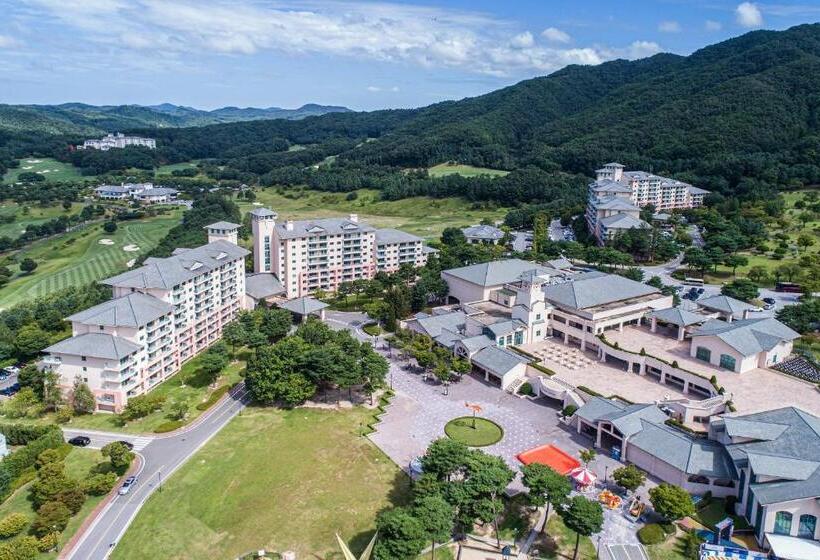 Номер Стандарт, Oak Valley Resort