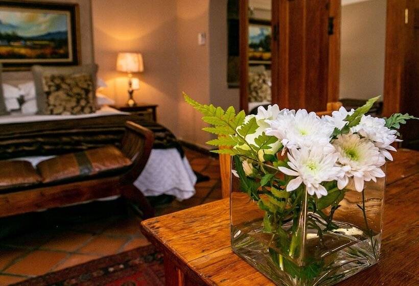 디럭스 스위트, Terra Casa Guesthouse
